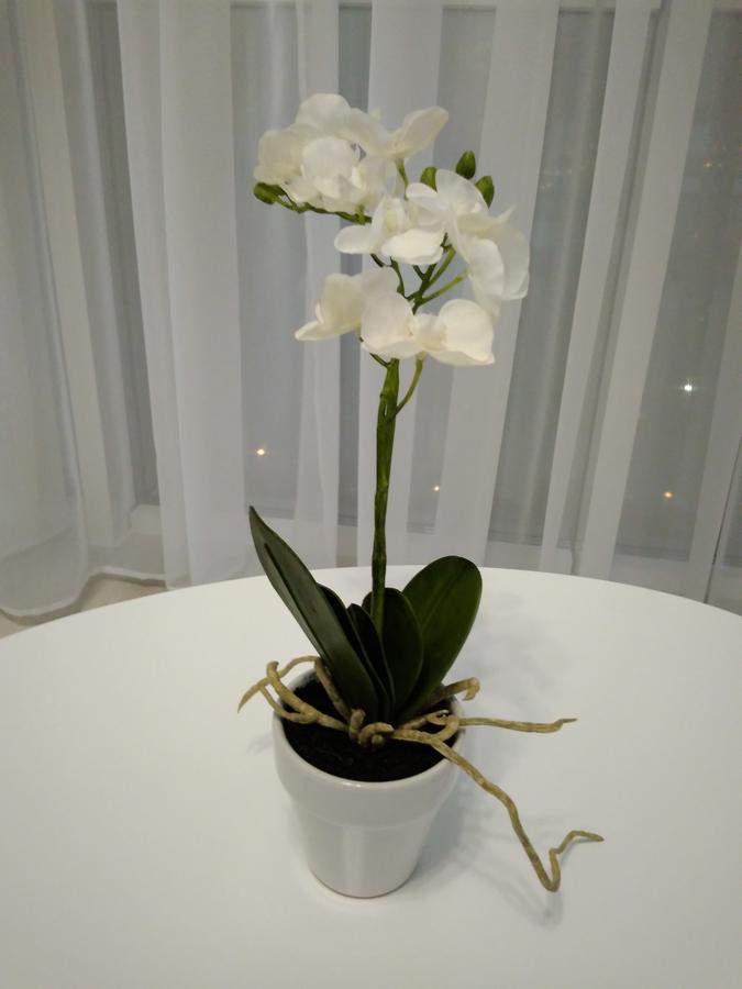 Astashkina Appartement Odessa Buitenkant foto